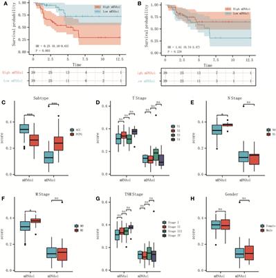 Cancer Stemness Associated With Prognosis and the Efficacy of Immunotherapy in Adrenocortical Carcinoma